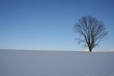 美瑛・冬の風景（2007年1月）