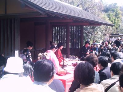 神代植物公園梅園の琴演奏会と、深大寺のだるま市