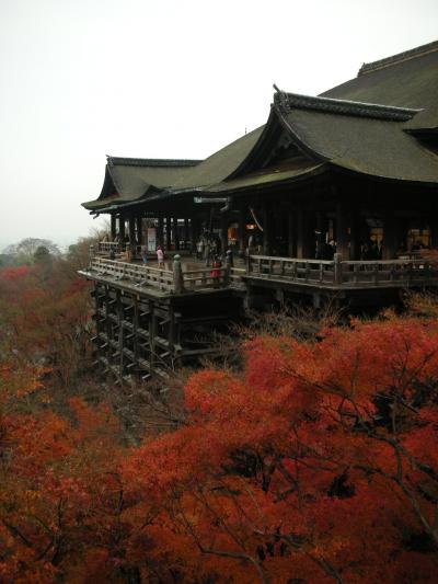 京都の紅葉
