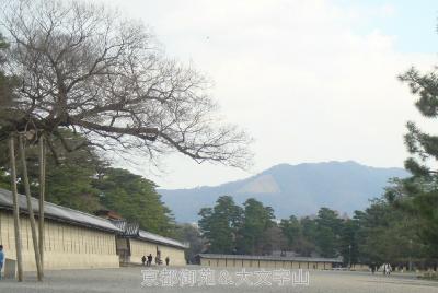 京都御苑＆北野天満宮＆宝ヶ池の梅