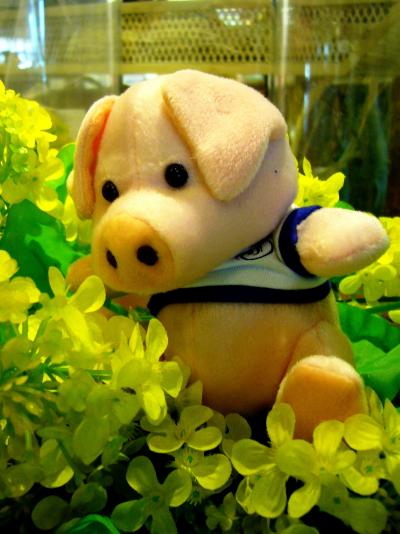 神奈川/春うららなWeekEnd＠ヒルトン小田原(2007年3月）