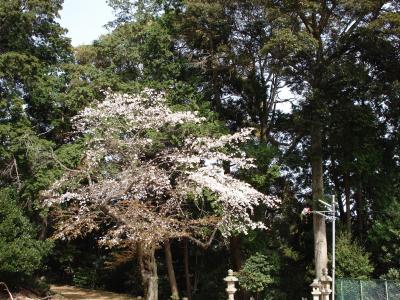 伊知多神社