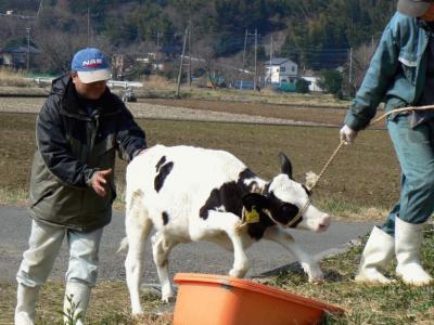 ６．酪農王国「オラッチェ」 少林寺拳法昇級試験