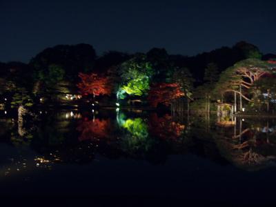 六義園 ライトアップ