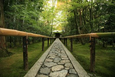 紅葉の高桐院　大徳寺