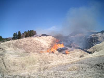 阿蘇で野焼きに遭遇☆