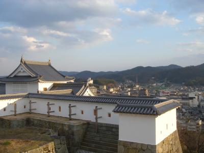 もう少しでサクラサク?津山城