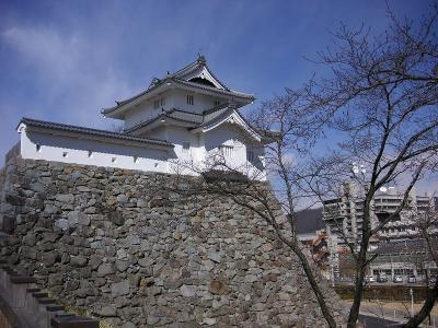 富士山が見えた甲府城（舞鶴城）