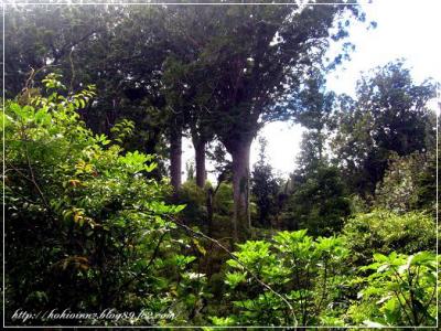 マイナスイオンがたっぷりなところ その2