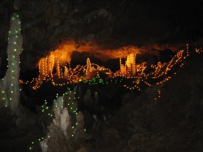 【石垣島編/沖縄・石垣島・西表島旅行記】