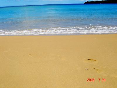 こんなにきれいな浜は貴重～西表島初日