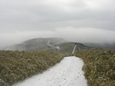 伊豆山稜線歩道を歩くー１　「雪の虹の郷から仁科峠へ」