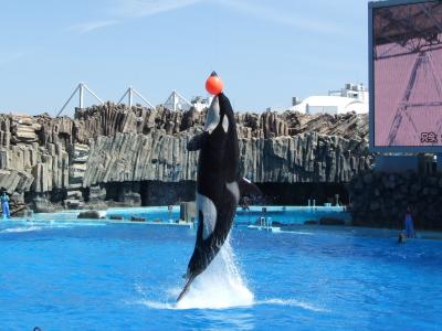 名古屋水族館