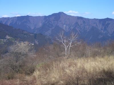 早春の陽だまりハイク、浅間嶺を歩く。