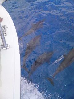 ☆2月の三連休に初海外旅行★