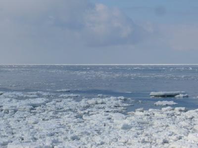 知床に行こう!~冬も楽しい北海道 3日目