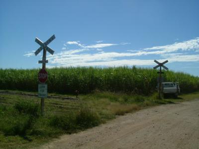 日本語アシスタント教師（マッカイ編）