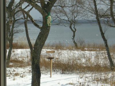 温泉ドライブ~苫小牧~白老~室蘭編
