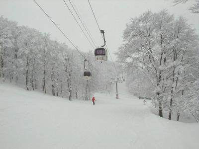 2006湯田中渋温泉ごりん高原スキー場