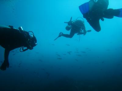 ガラパゴス満喫（ダイビング）