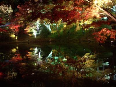 高台寺の紅葉ライトアップ