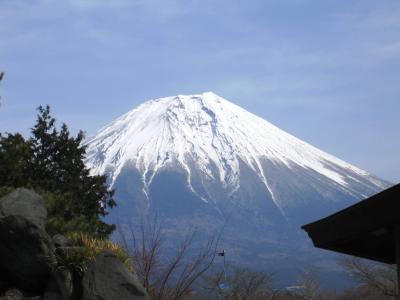 富士五湖バスツアー日記です