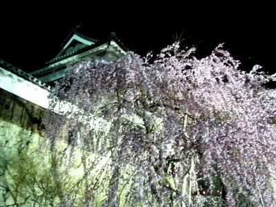 春の東信濃路巡り・上田