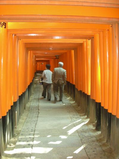 京都桜下見ツアー。
