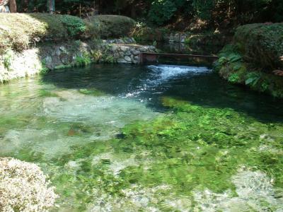 熊本～宮崎（パート３：南阿蘇～高千穂峡～日向移動編）