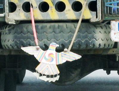 pakistan Truck Art 面白くてやめられない「けばトラ」ウォッチング　鳥たち　Birds