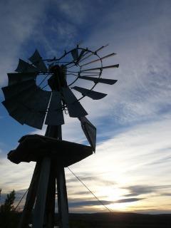 風の歌を聞け＠エル・カラファテ