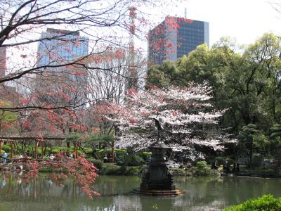 陽気に誘われて日比谷公園散策その?雲形の池～大噴水～日比谷口まで