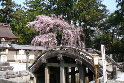 湖東路の名刹・庭園めぐり：多賀大社?