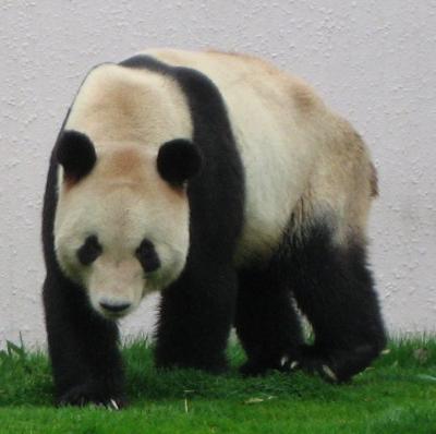 春の南紀白浜の旅