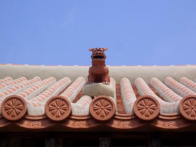 ゆる~い沖縄~海に潜る・海を眺める~