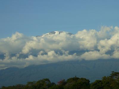 タンザニア+UAE(12/08~12/20)