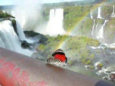 快晴に恵まれ、イグアスの滝、大満喫！！！