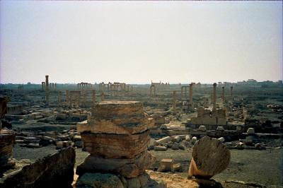 “西のシルクロード最大級遺跡”パルミラを訪れる