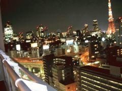 光の海平原～東京タワー