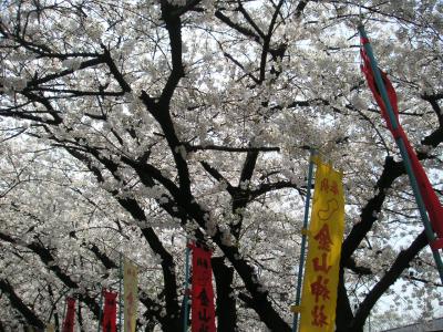 2007年　かなまら祭り　川崎