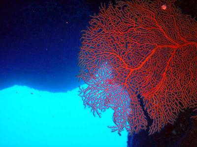 テニアンの海は抜群の透明度