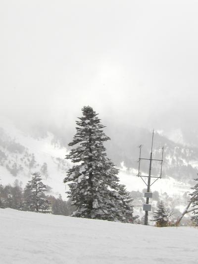 雪山＠万座温泉スキー場