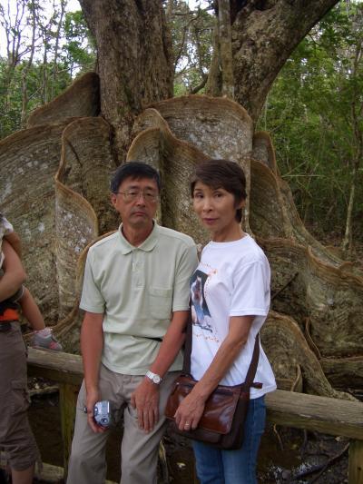 再び石垣島へのんびり旅行