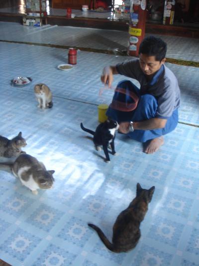 ?祈りの国　ミャンマー☆　インレー湖3日目編