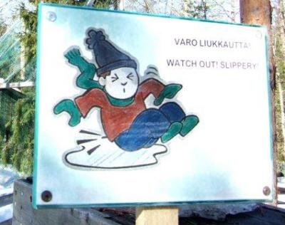 あひるんるん♪ (フィンランド2007 その3)