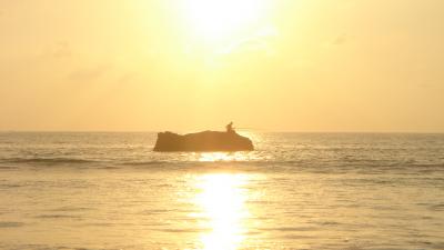 ?祈りの国　ミャンマー☆　ガパリビーチへＧＯ！