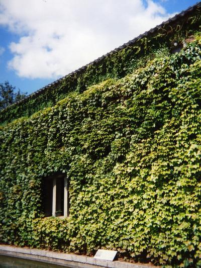 倉敷と奥津温泉親孝行(?)の旅