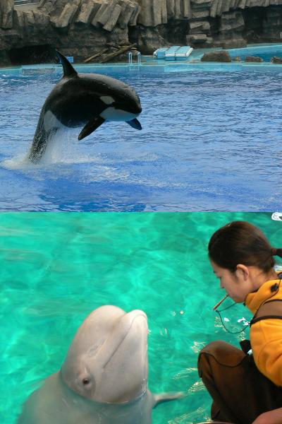 名古屋港へ行って青春18切符を使い切ろう（名古屋港水族館、南極観測船「ふじ」）
