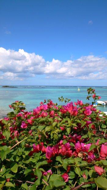 モーリシャス2007(全8日間)1