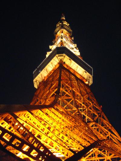 東京タワー特別展望台・輝く夜景　☆オフ会後ー３